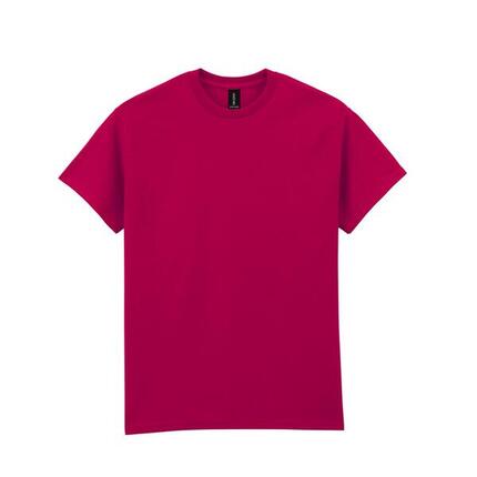Tshirt Adulte (Gris Clair Pâle Uni)