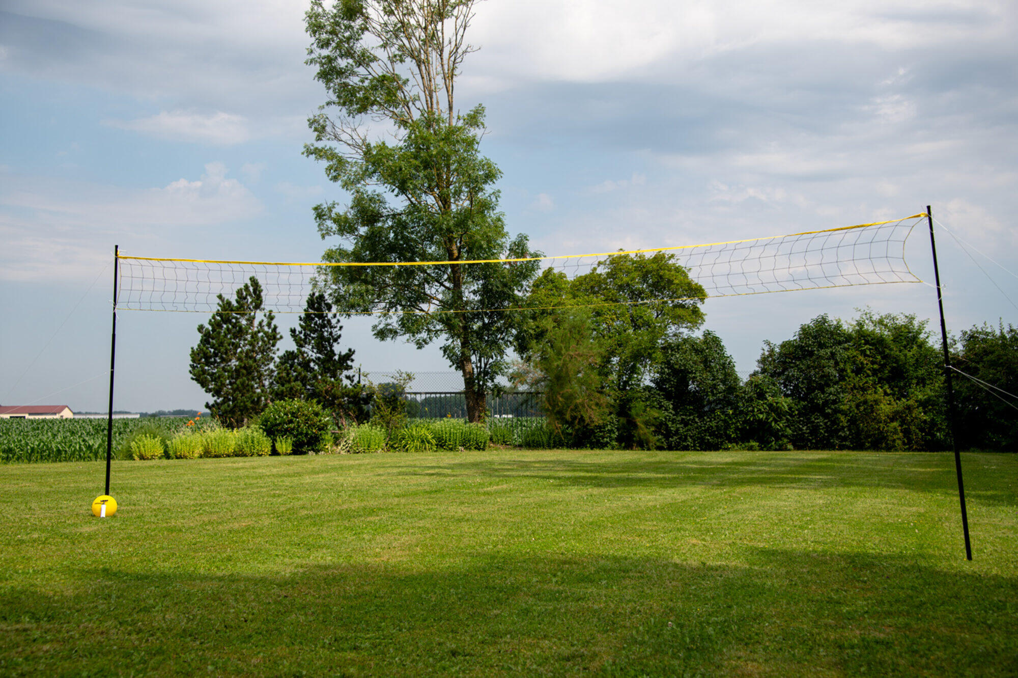 Set da pallavolo 6 m - Con pali, rete, palla e pompa 3/7