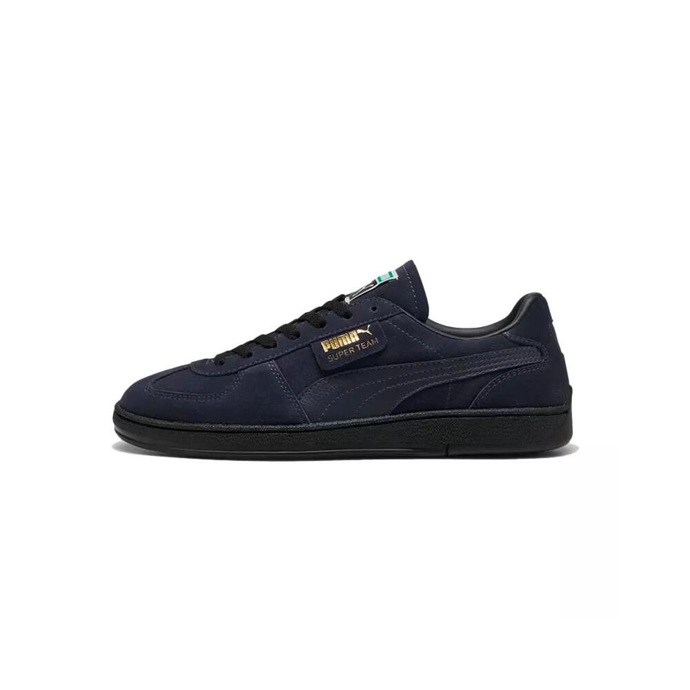 PUMA picture
