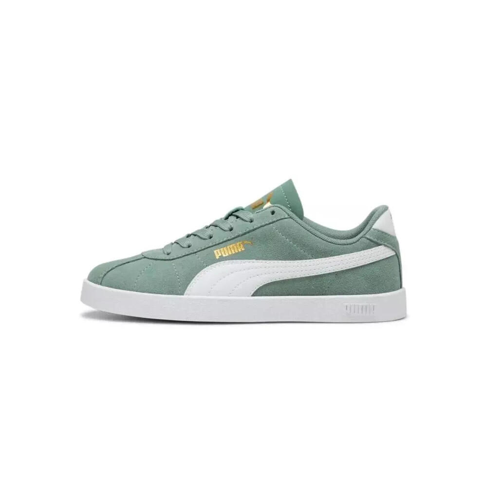 PUMA picture