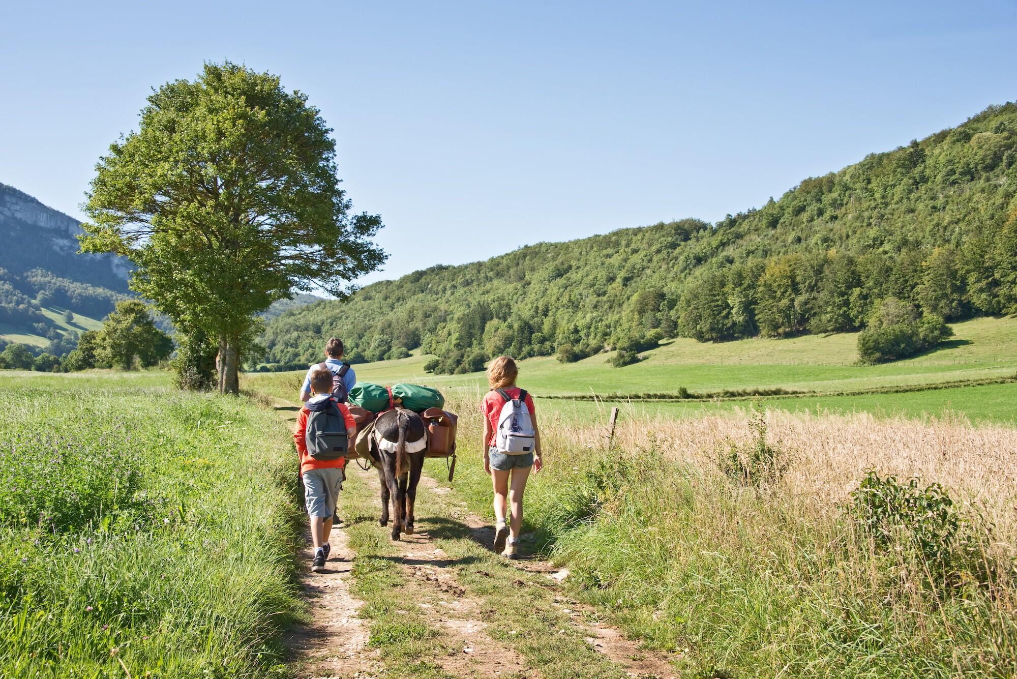 DECATHLON TRAVEL picture