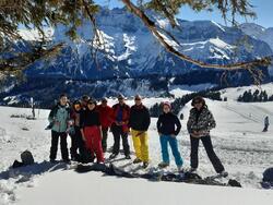 Séjour ski alpin à Châtel domaine des Portes du Soleil