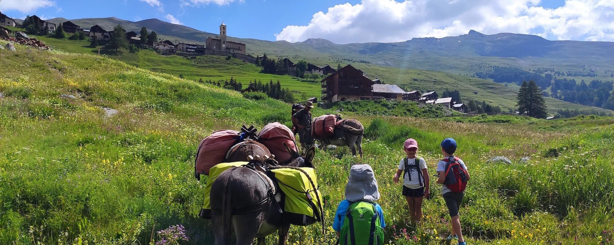 DECATHLON TRAVEL picture