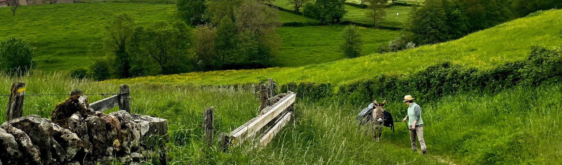 DECATHLON TRAVEL picture