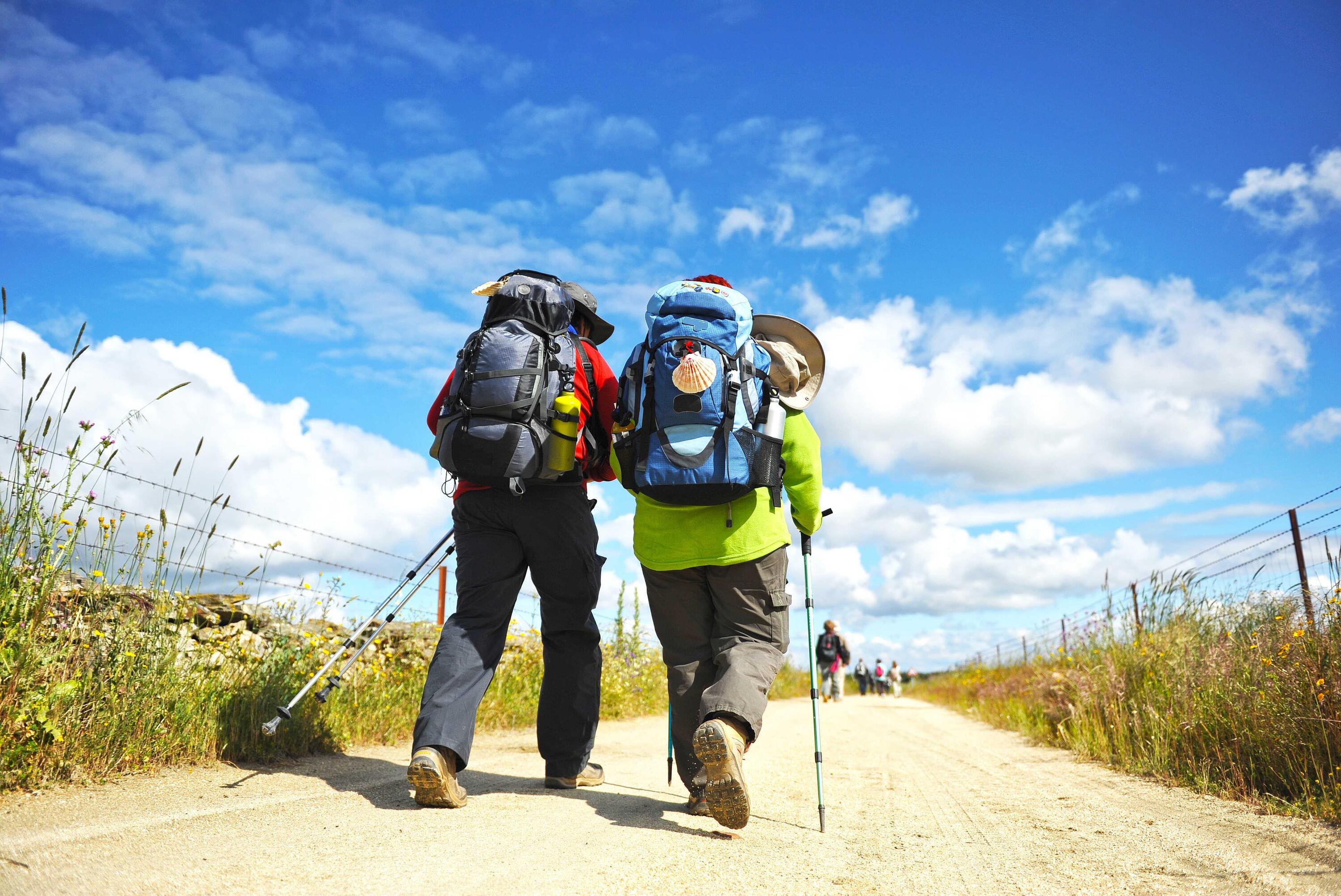 DECATHLON TRAVEL picture