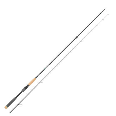 Canna Spinning Hisense 2.40mt 1-6gr