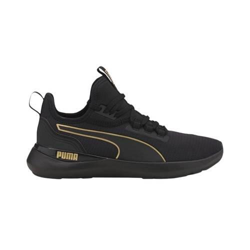 PUMA picture