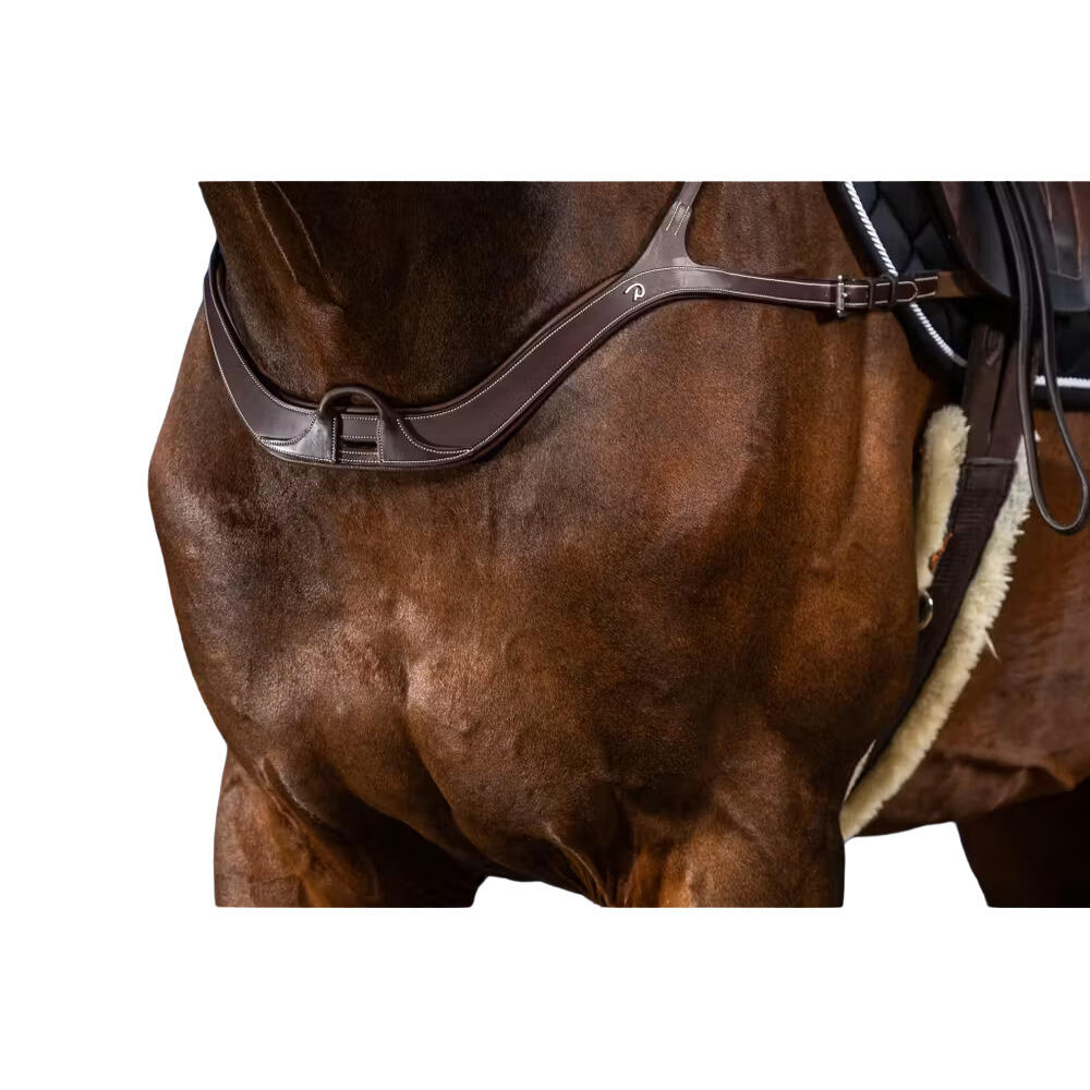 Collar de caza anatómico para caballos Dy'on 2/4
