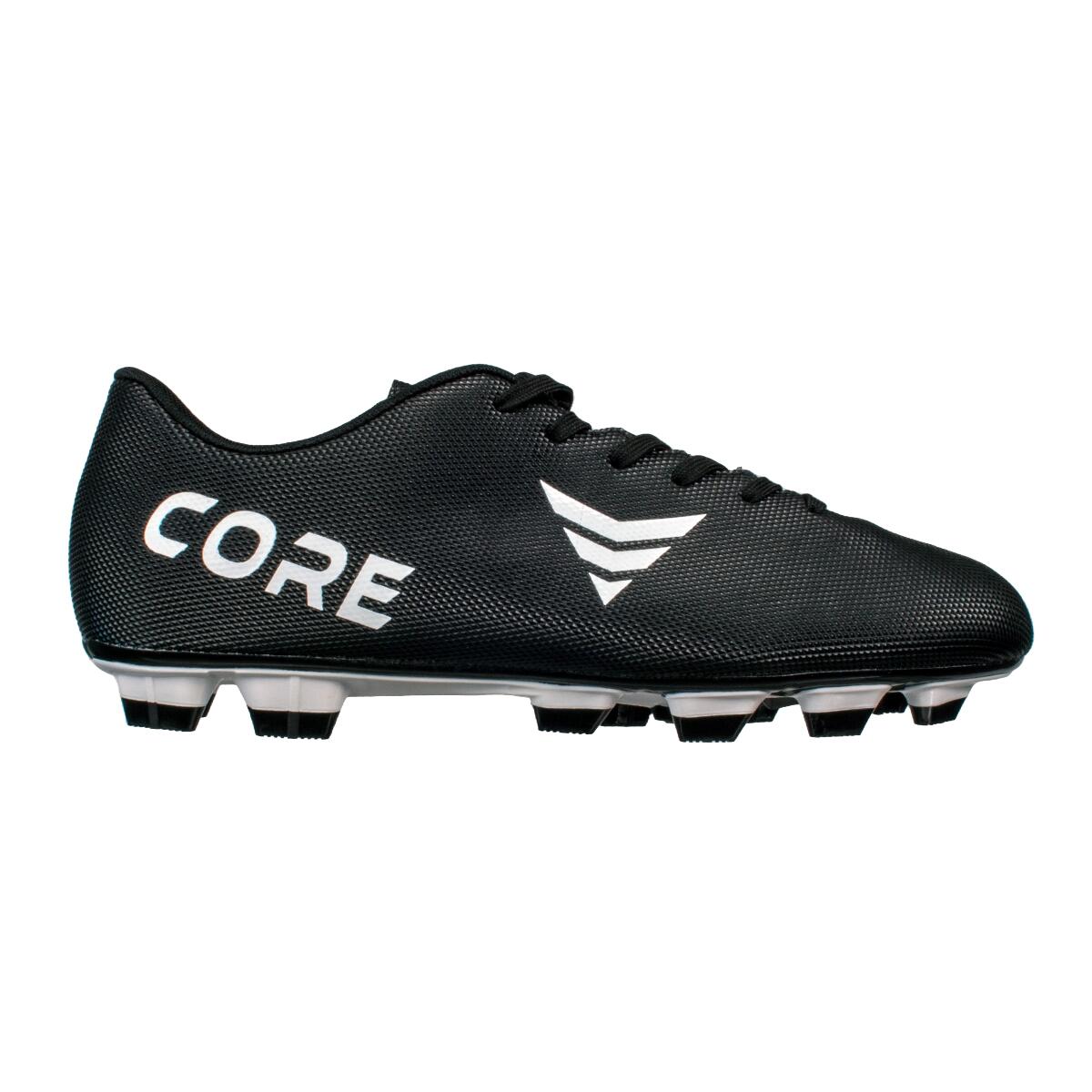 CORE picture