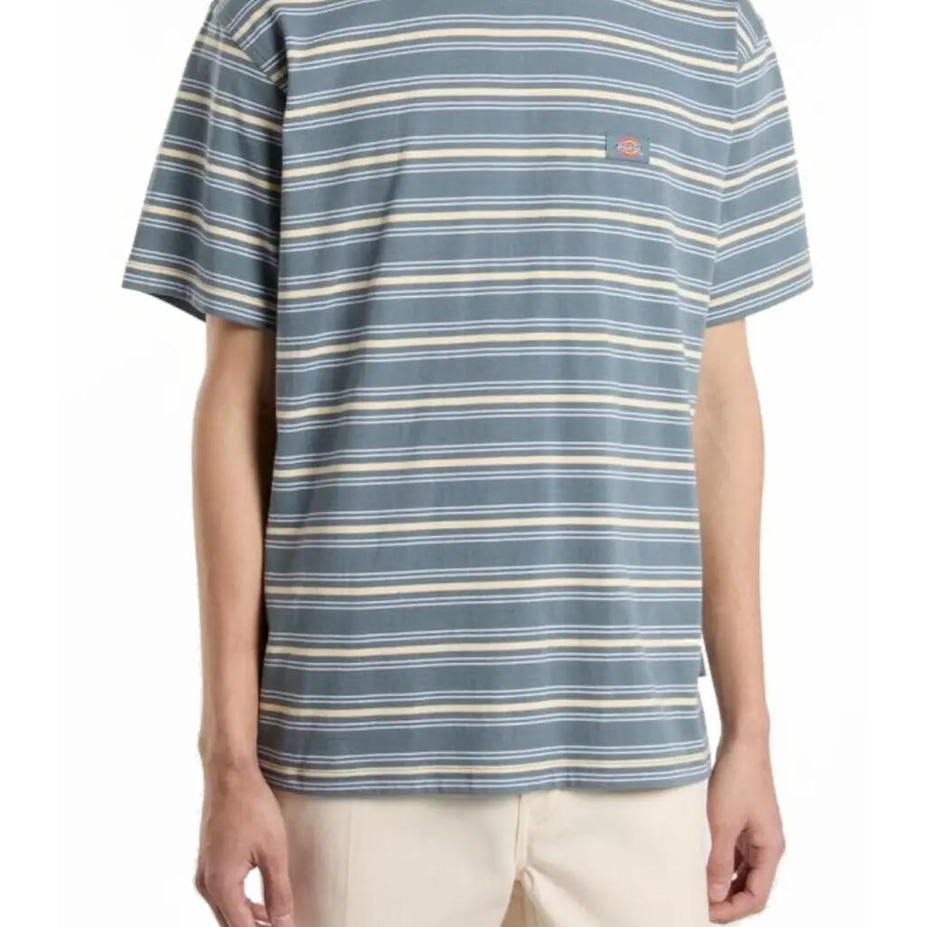T-shirt pour homme Dickies Lewistown Bleu