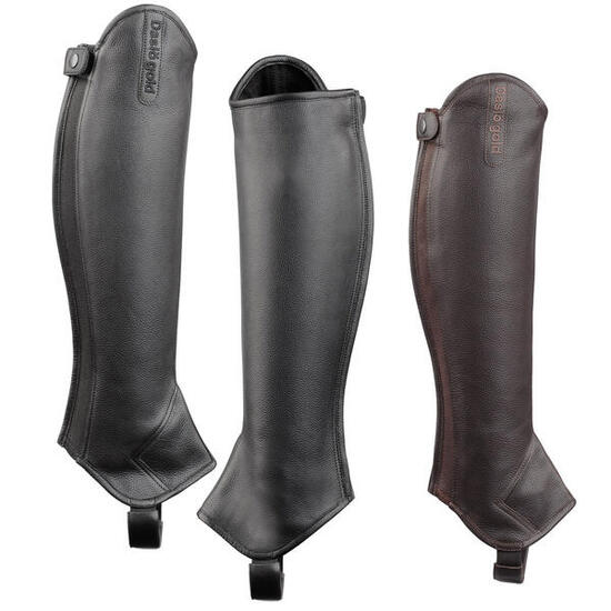 Mini-chaps Daslö Gold H1