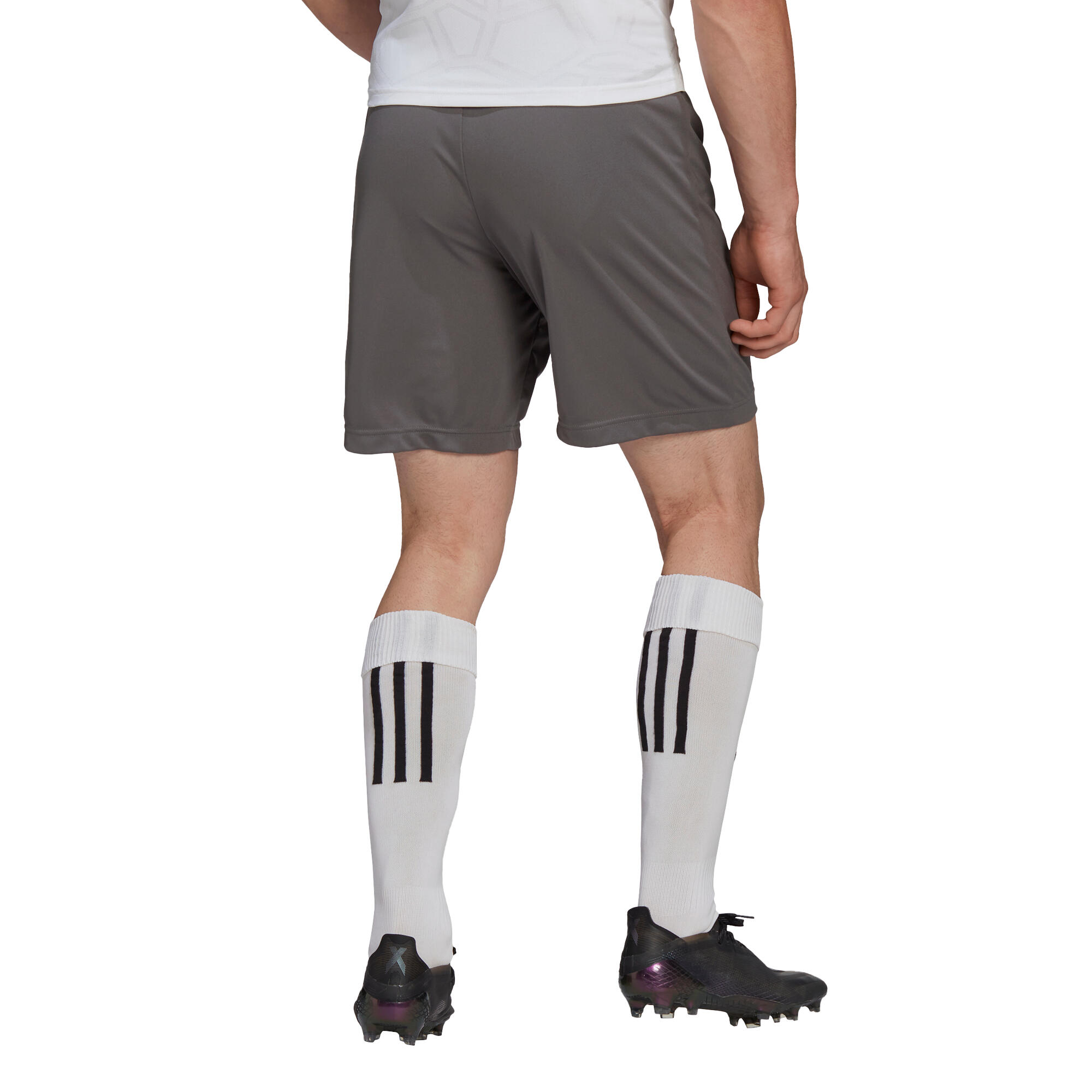 Shorts adidas Entrada 22 4/7
