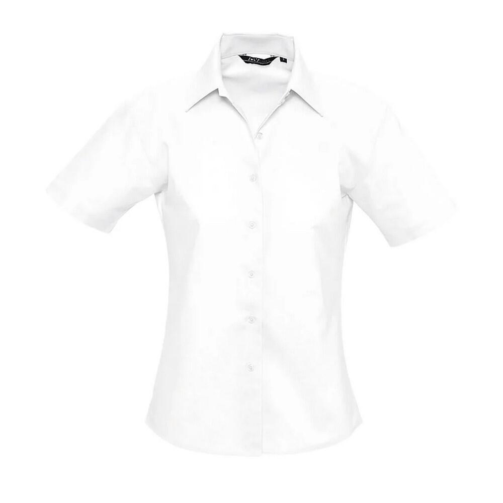Womens/Ladies Elite Oxford ShortSleeved Business Blouse (White)