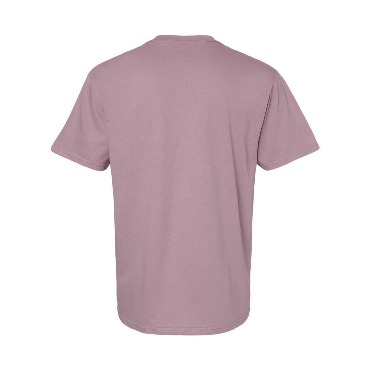T-Shirt Unisex Adult Softstyle Midweight (Paragon) 2/3
