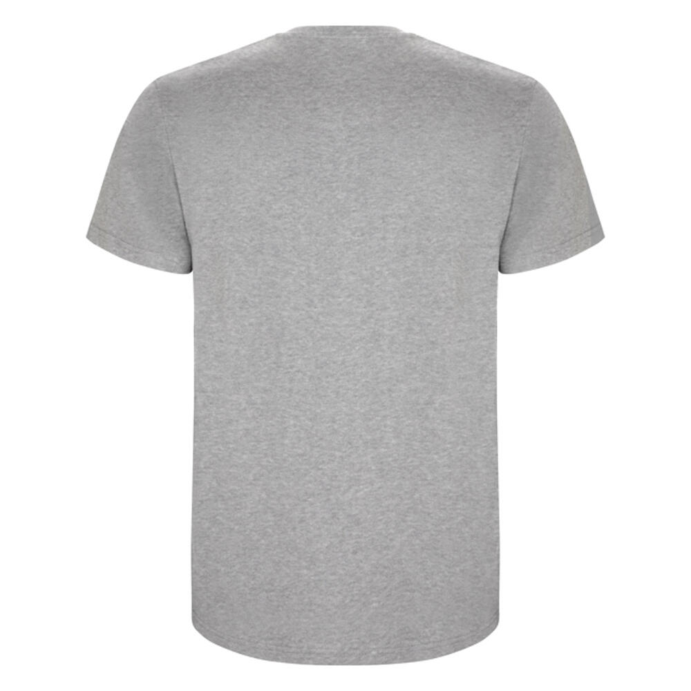 Tshirt STAFFORD Homme (Gris Chiné) 2/4