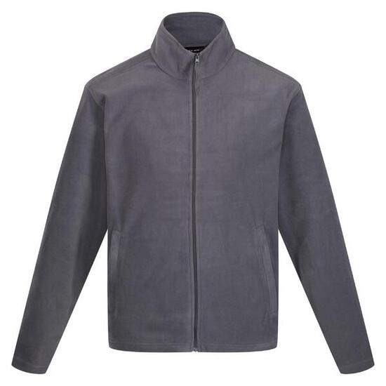 Veste Polaire CLASSIC Homme (Gris)