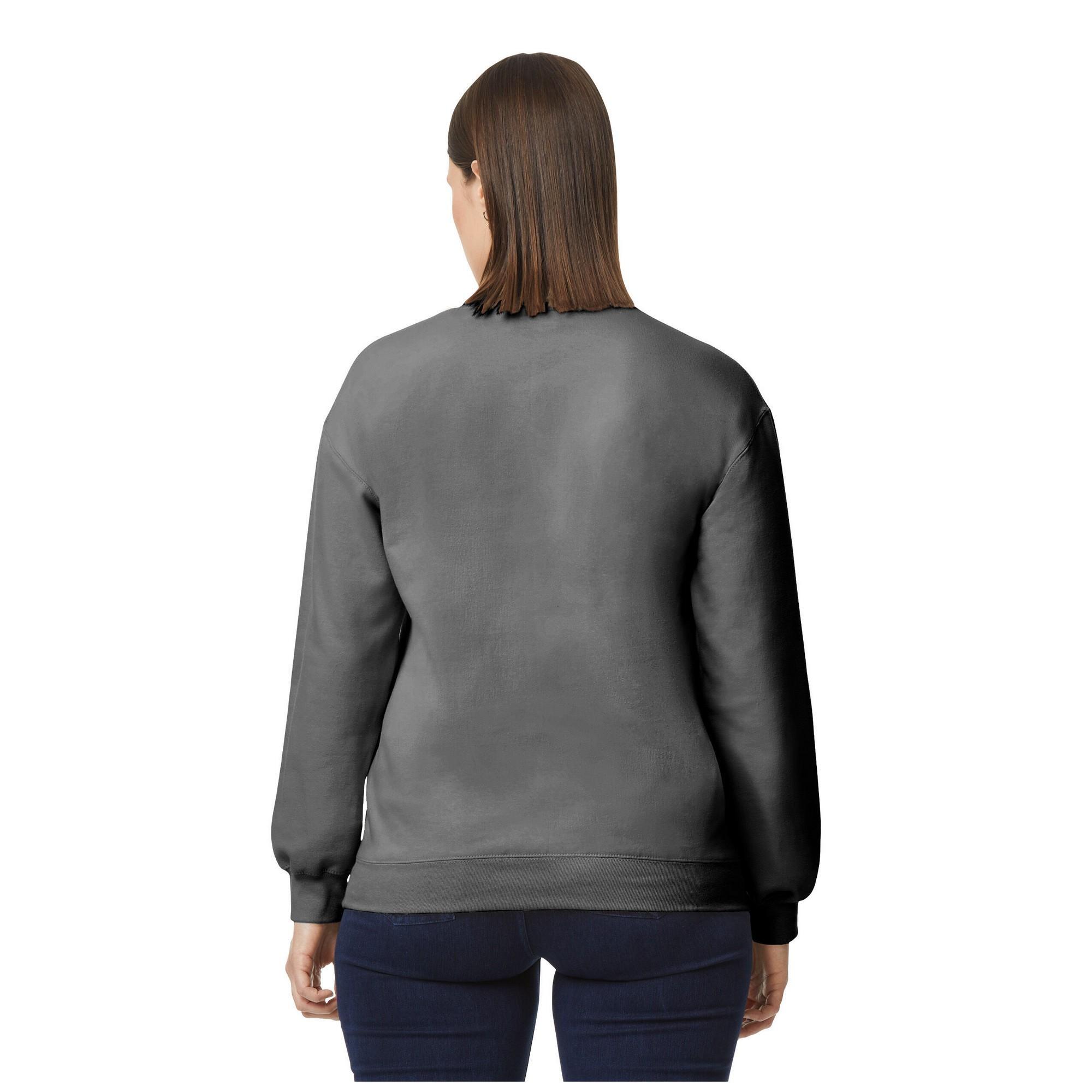 Pull SOFTSTYLE Adulte (Charbon) 2/3