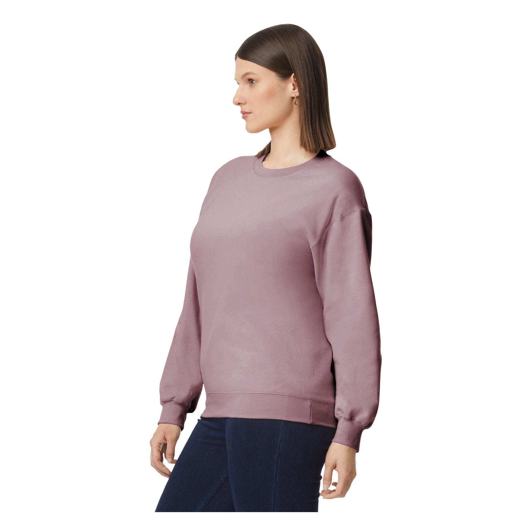 Pull SOFTSTYLE Adulte (Taupe) 3/3