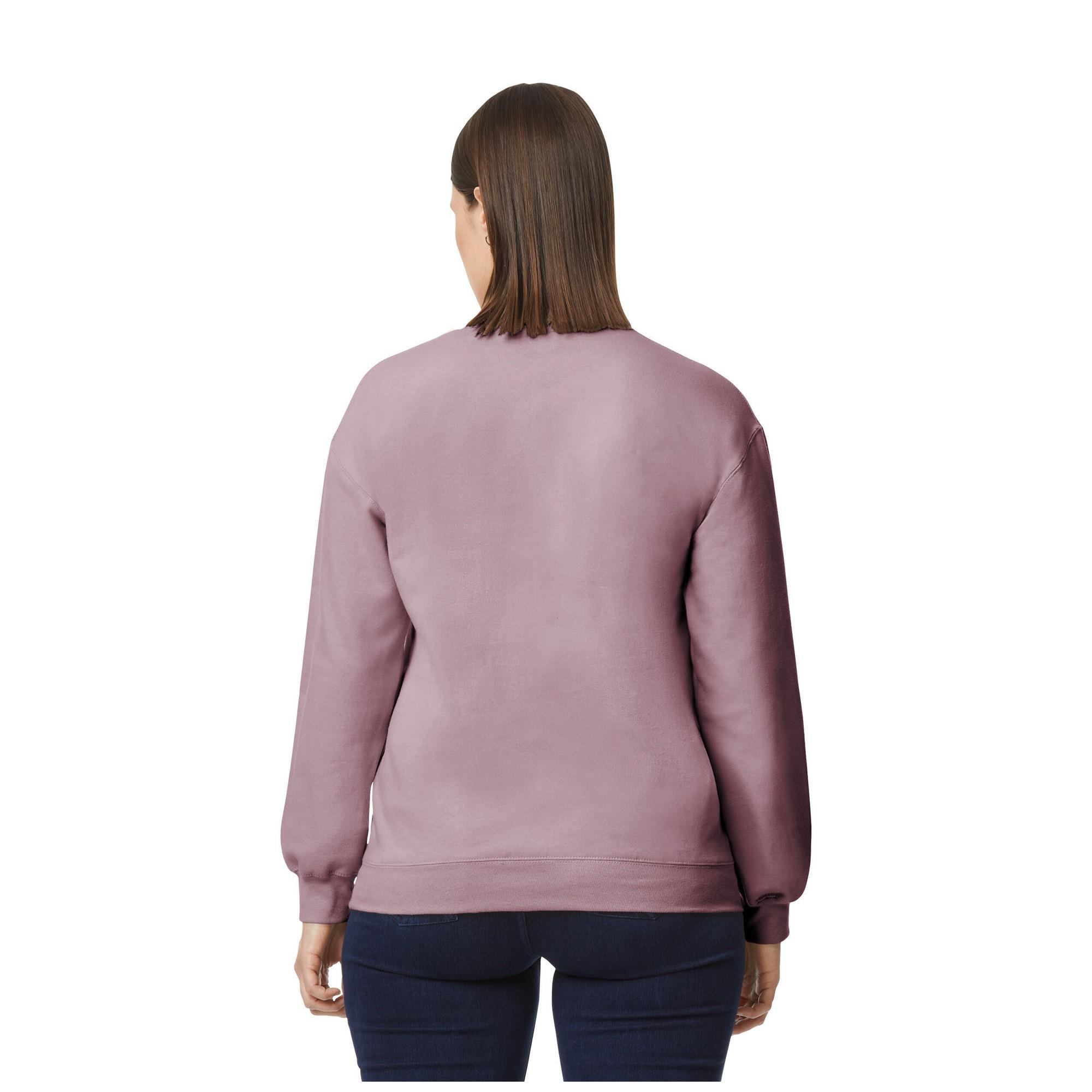 Pull SOFTSTYLE Adulte (Taupe) 2/3