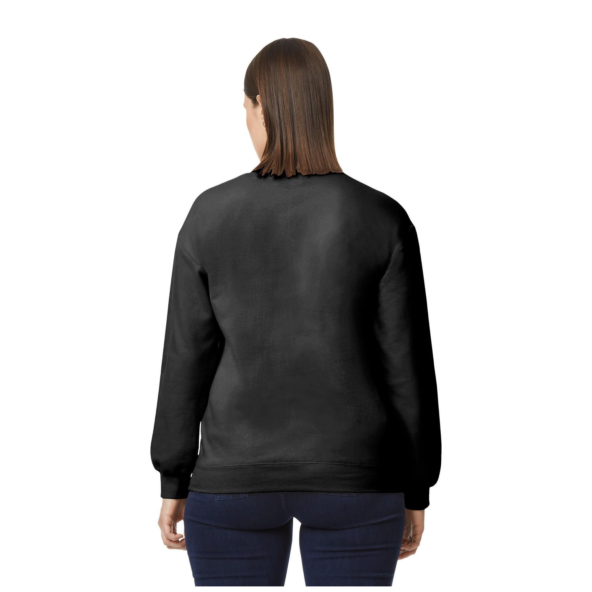 Pull SOFTSTYLE Adulte (Noir) 2/3