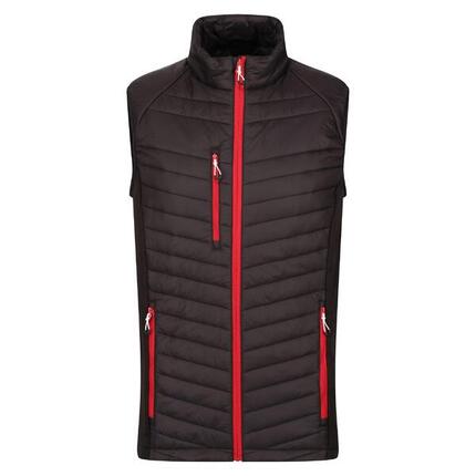Veste Sans Manches NAVIGATE Homme (Noir / Bleu Roi)