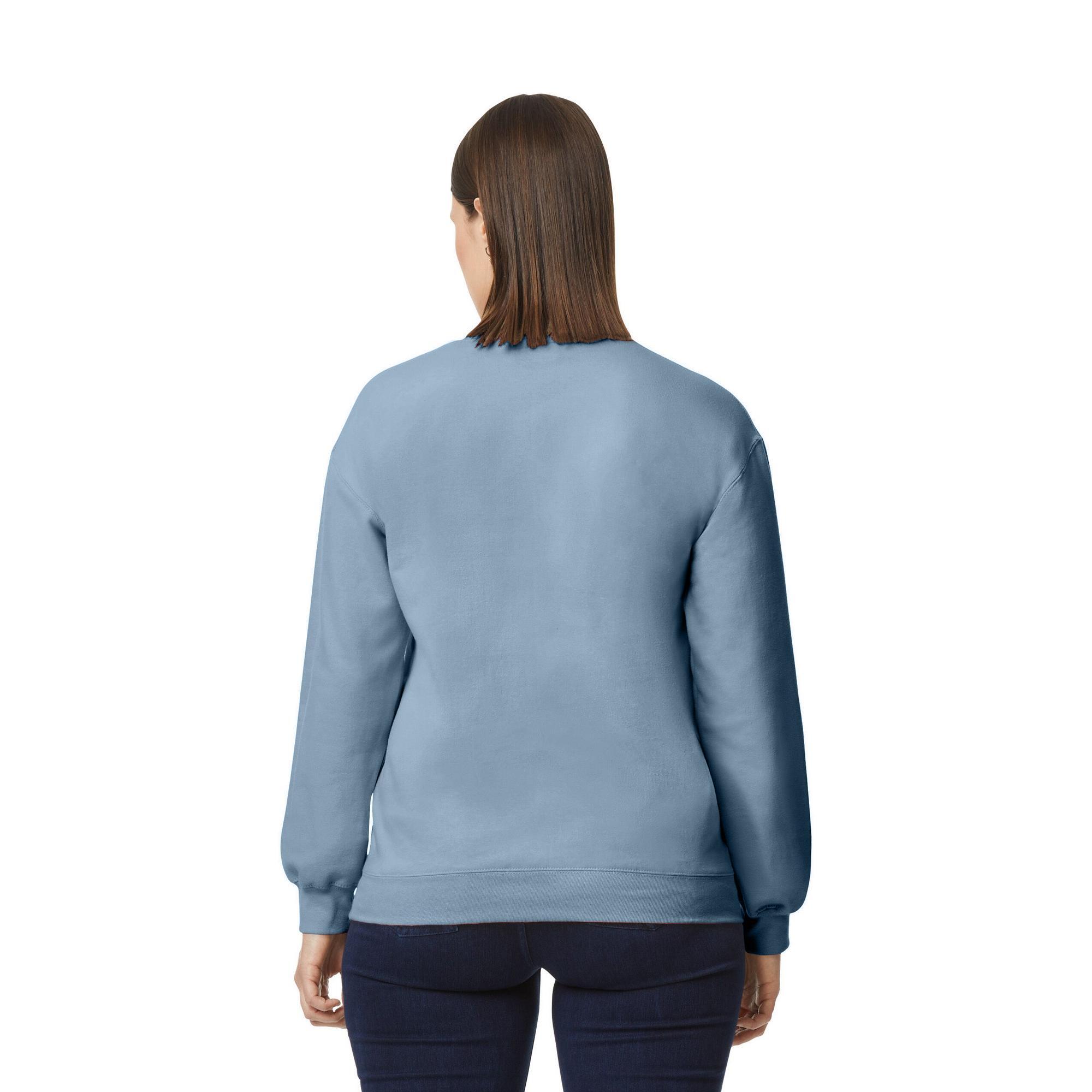 Pull SOFTSTYLE Adulte (Bleu De Gris) 2/3