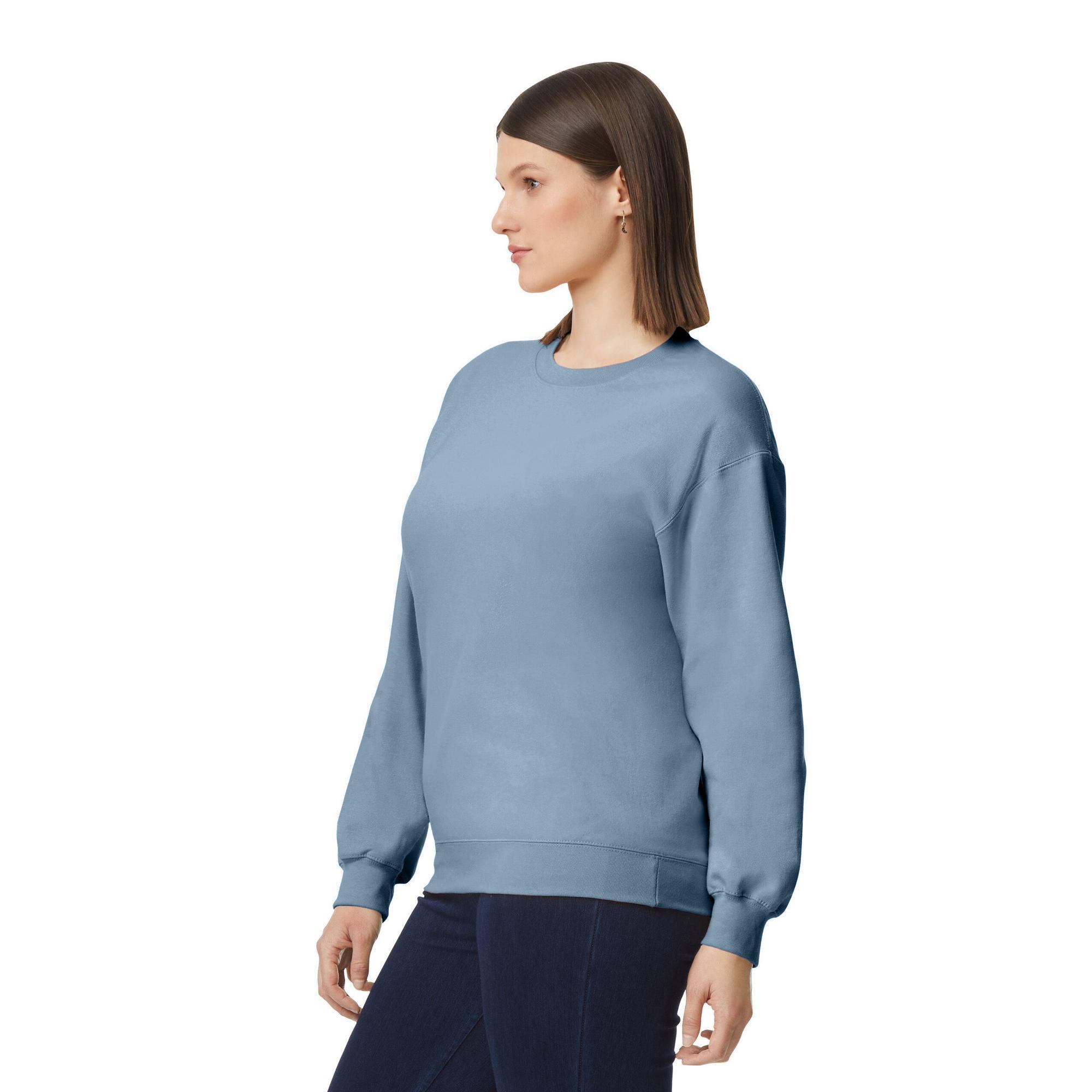 Pull SOFTSTYLE Adulte (Bleu De Gris) 3/3