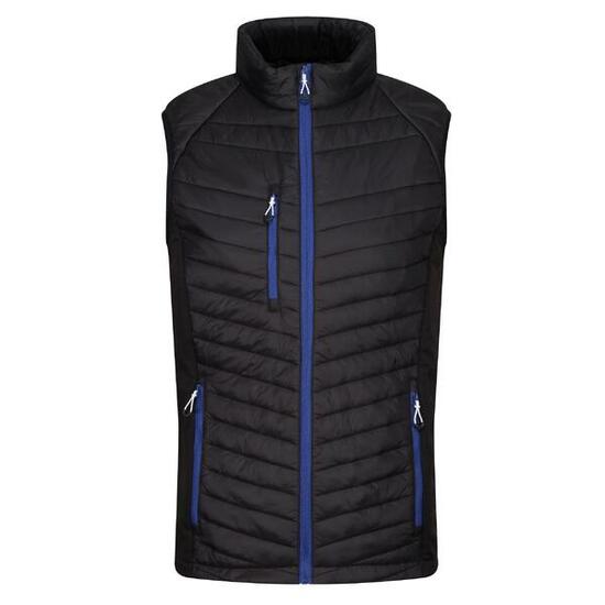 Veste Sans Manches NAVIGATE Homme (Noir / Bleu Roi)