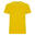Tshirt STAFFORD Homme (Jaune)