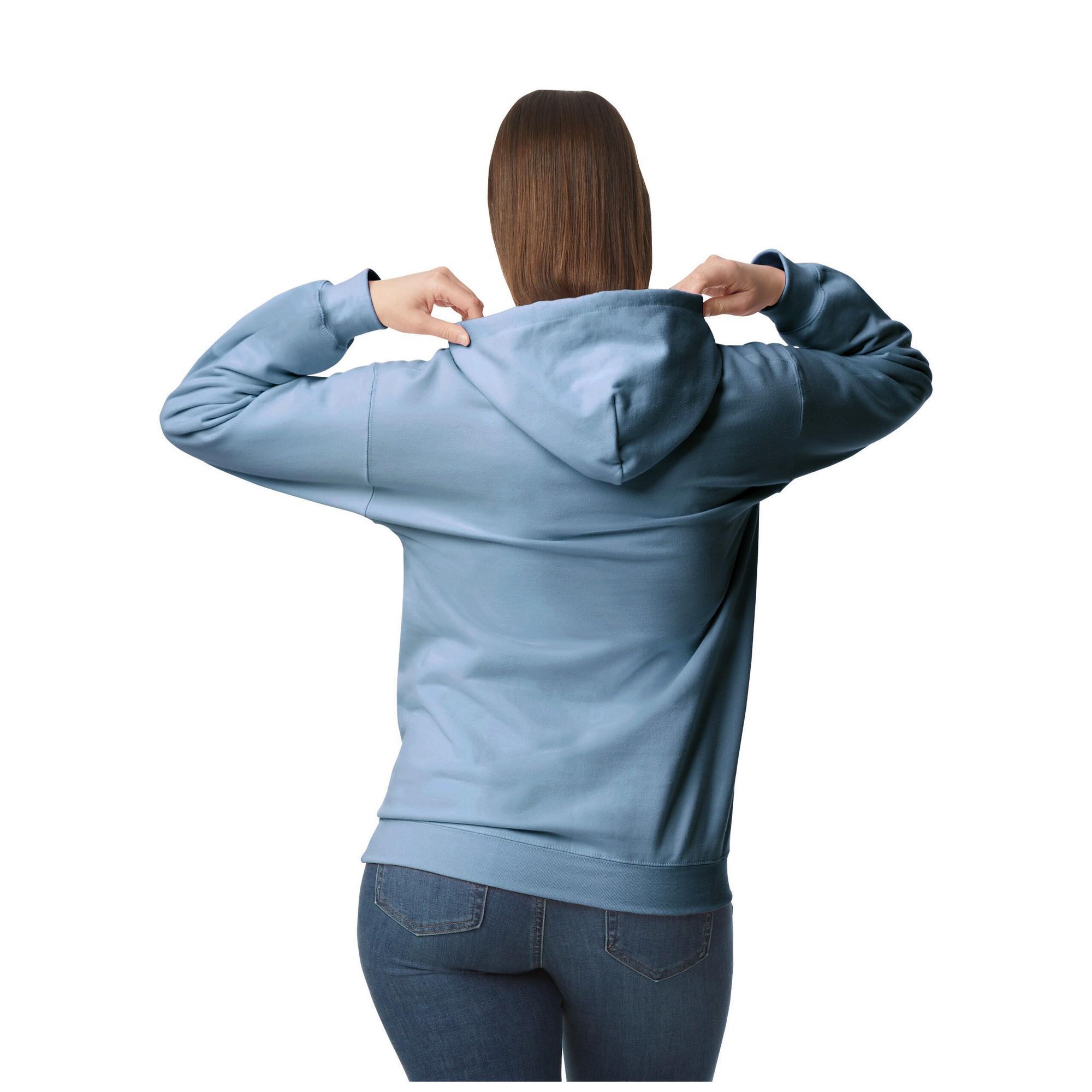 Sweat À Capuche SOFTSTYLE Adulte (Bleu De Gris) 2/3