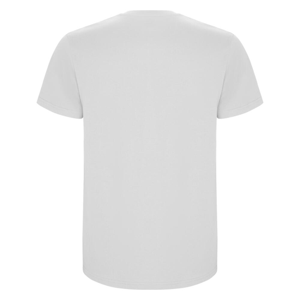 Tshirt STAFFORD Homme (Blanc) 2/4