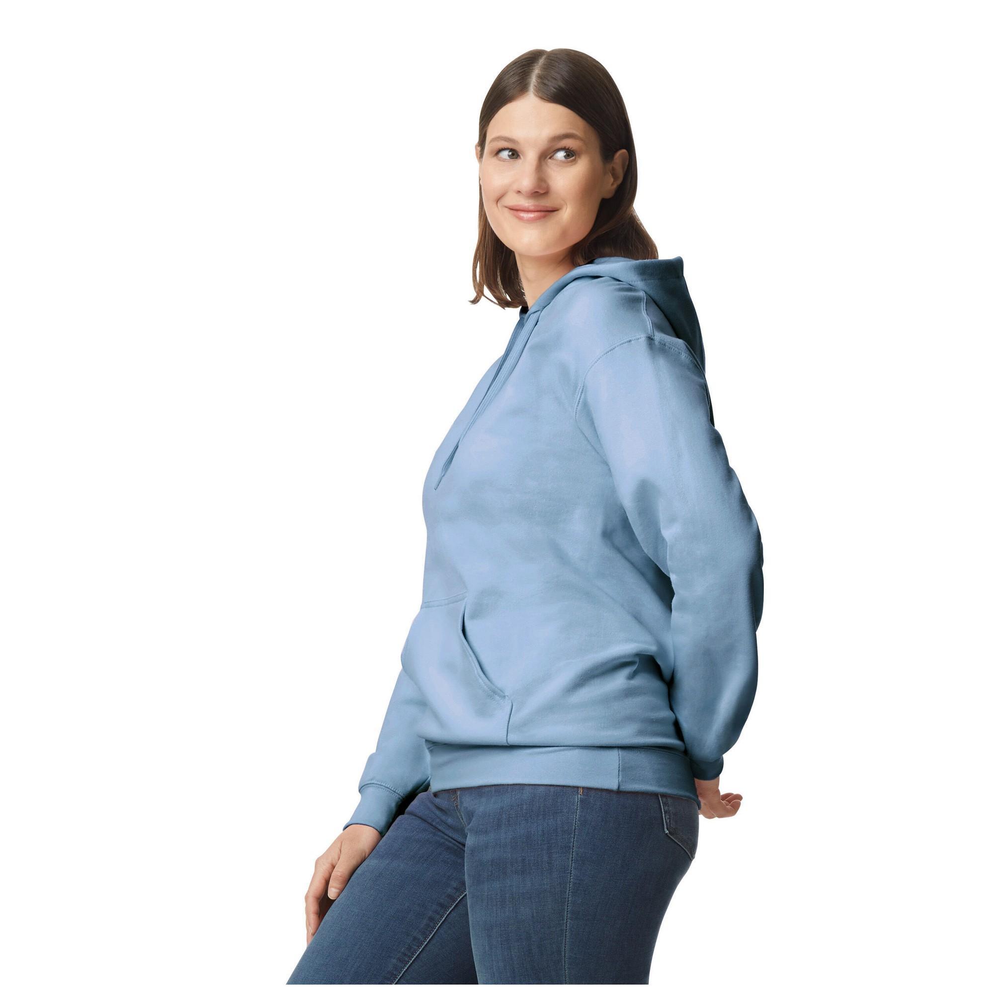 Sweat À Capuche SOFTSTYLE Adulte (Bleu De Gris) 3/3