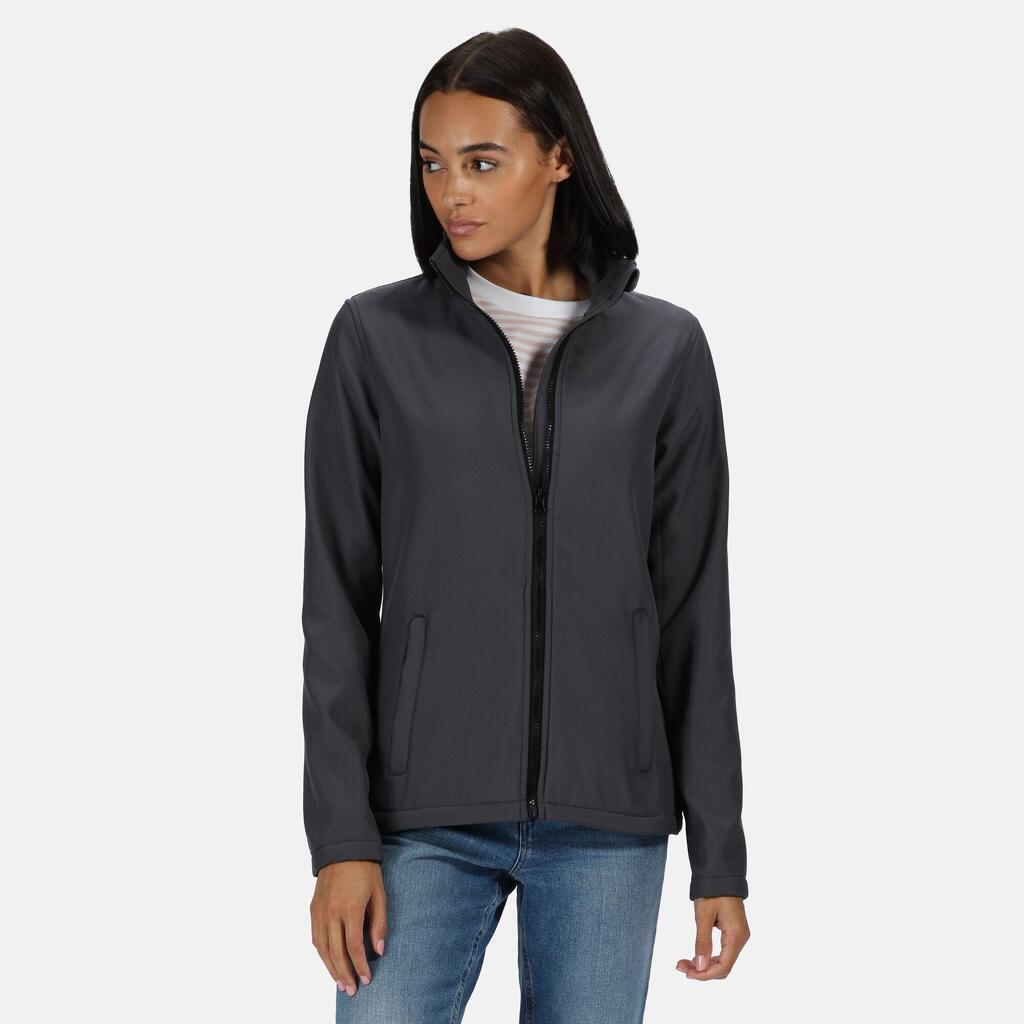 Womens/Ladies Ablaze Printable Soft Shell Jacket (Seal Grey/Black)