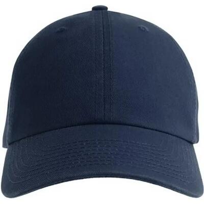 Unisex adult fraser 6 panel organic cotton baseball cap (wit)