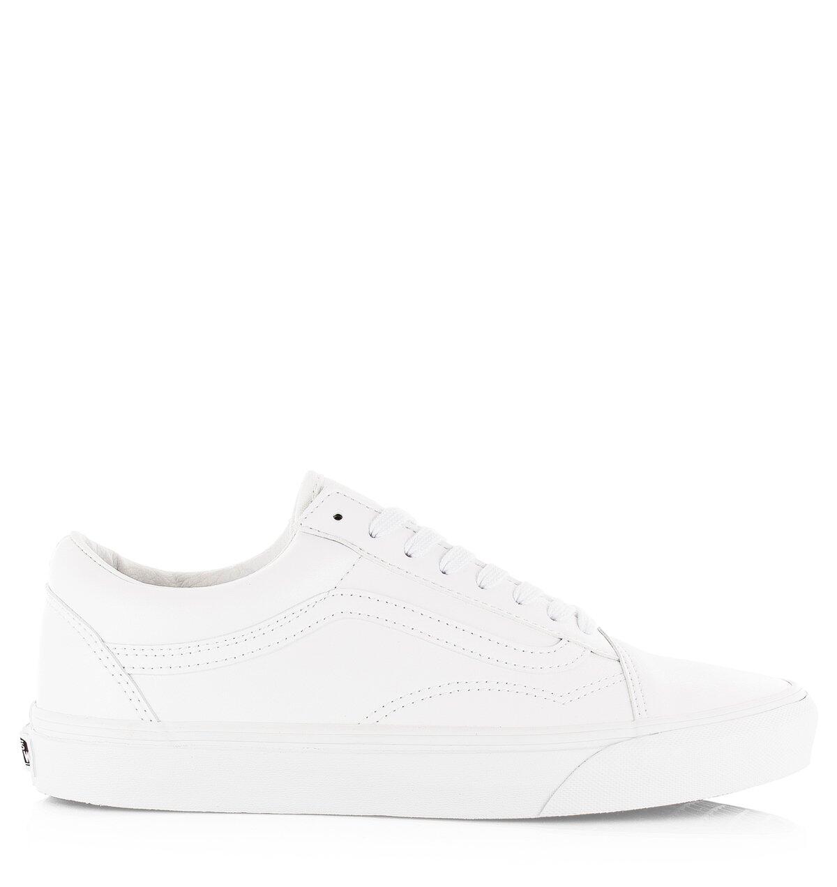 VANS picture