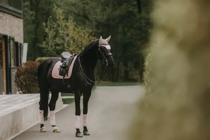 Tapis de selle velours pearls dressage rose tendre 2/7