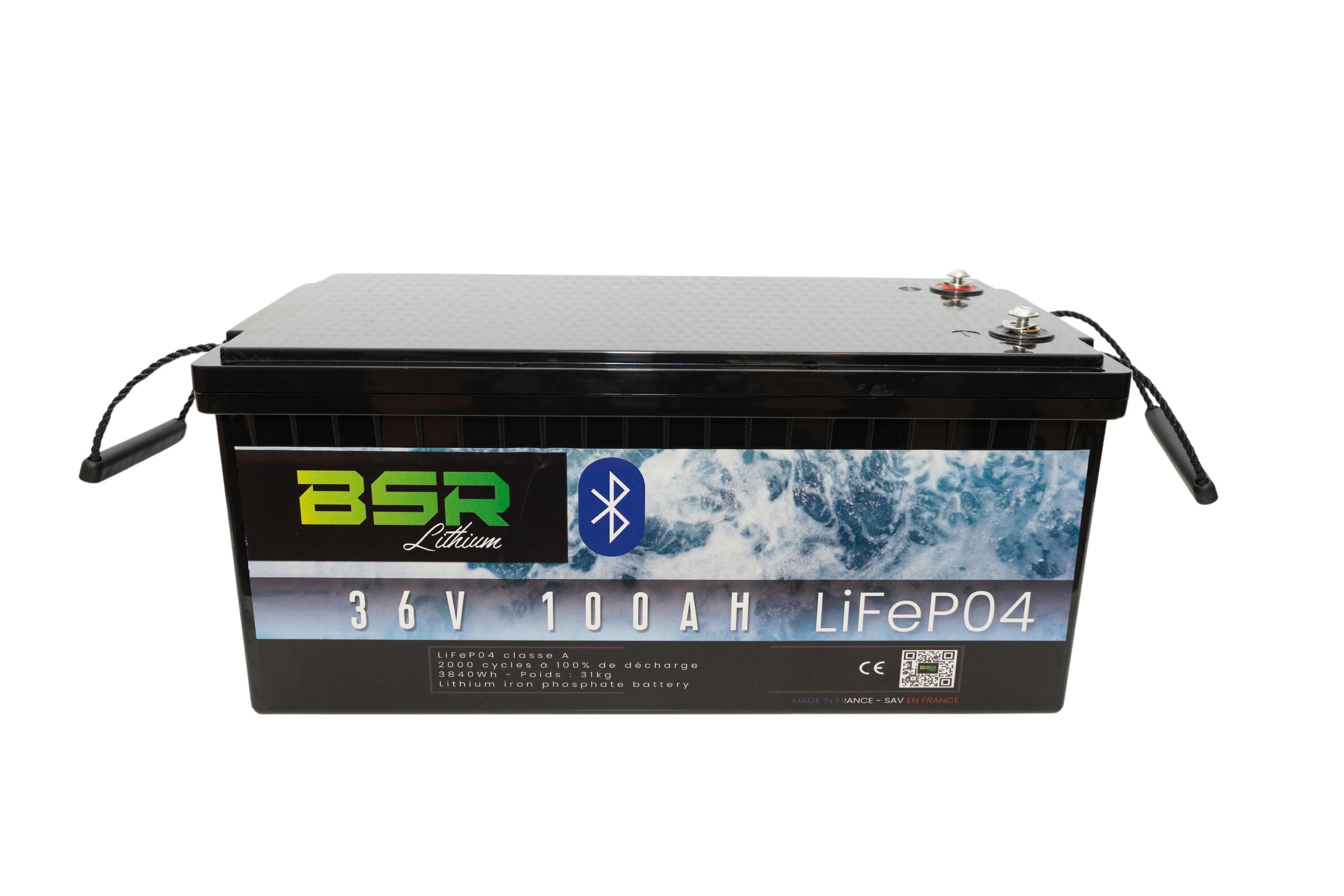 batterie LifePo4 36V/100 Ah + chargeur non étanche 10A 1/2