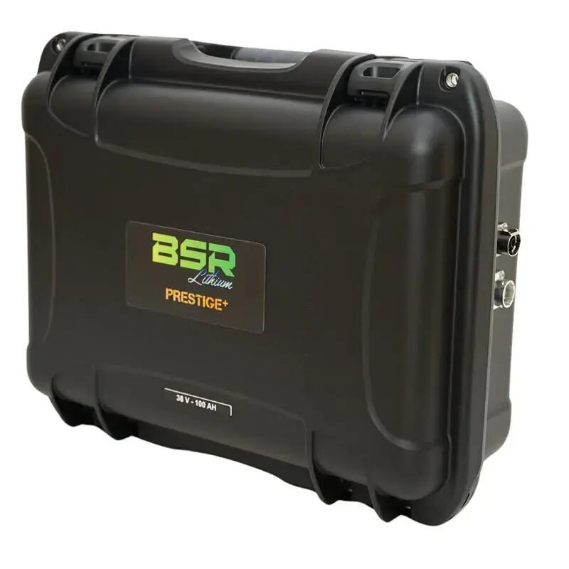 Lithium suitcase plus charger plus probe plug BSR Prestige lifePO4 36V/100Ah