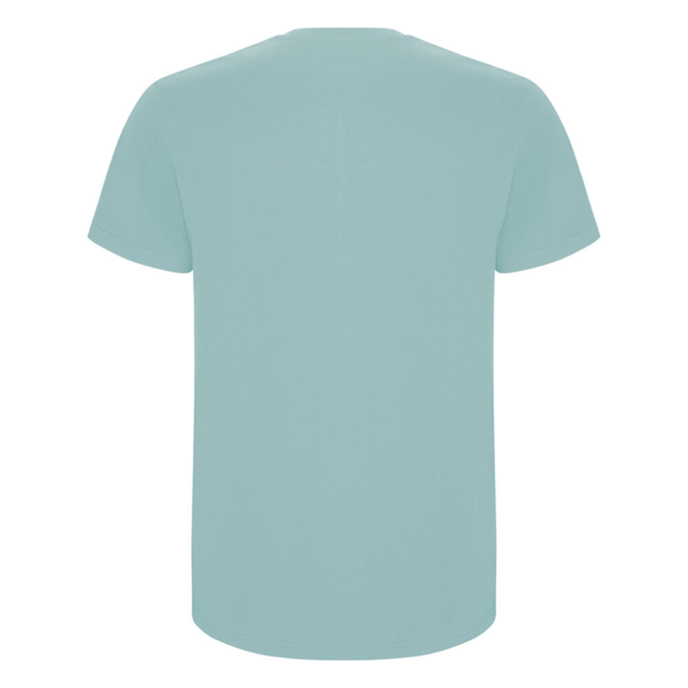 Tshirt STAFFORD Homme (Bleu Délavé) 2/4