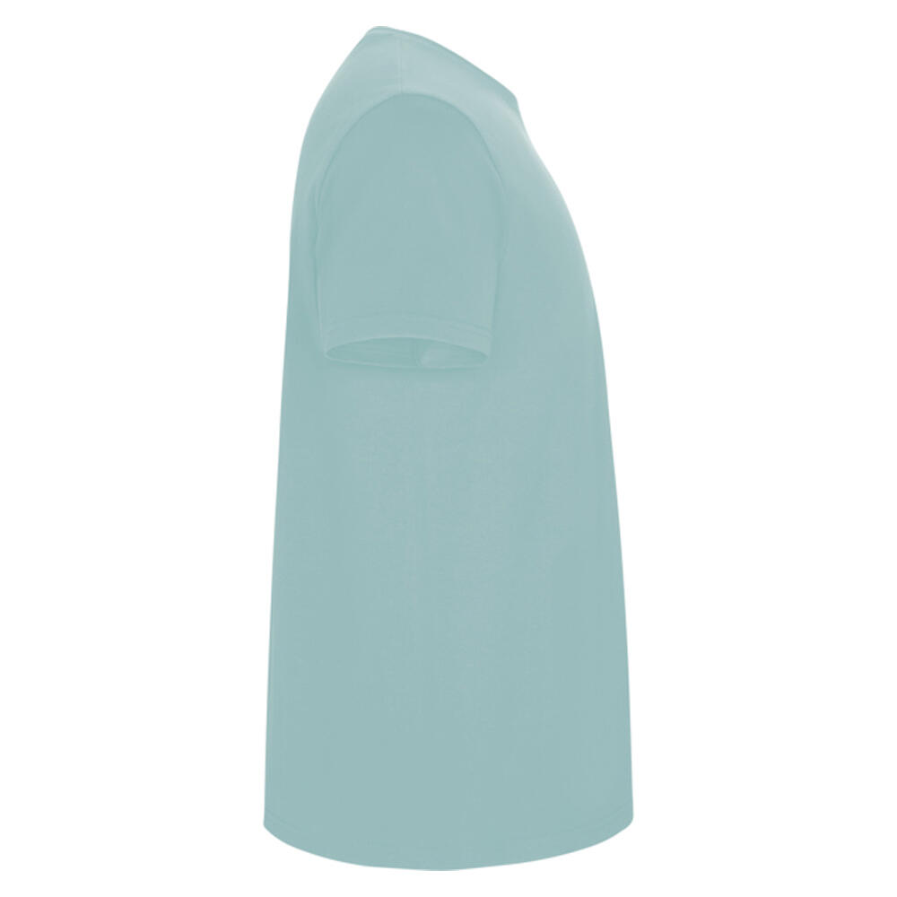 Tshirt STAFFORD Homme (Bleu Délavé) 4/4