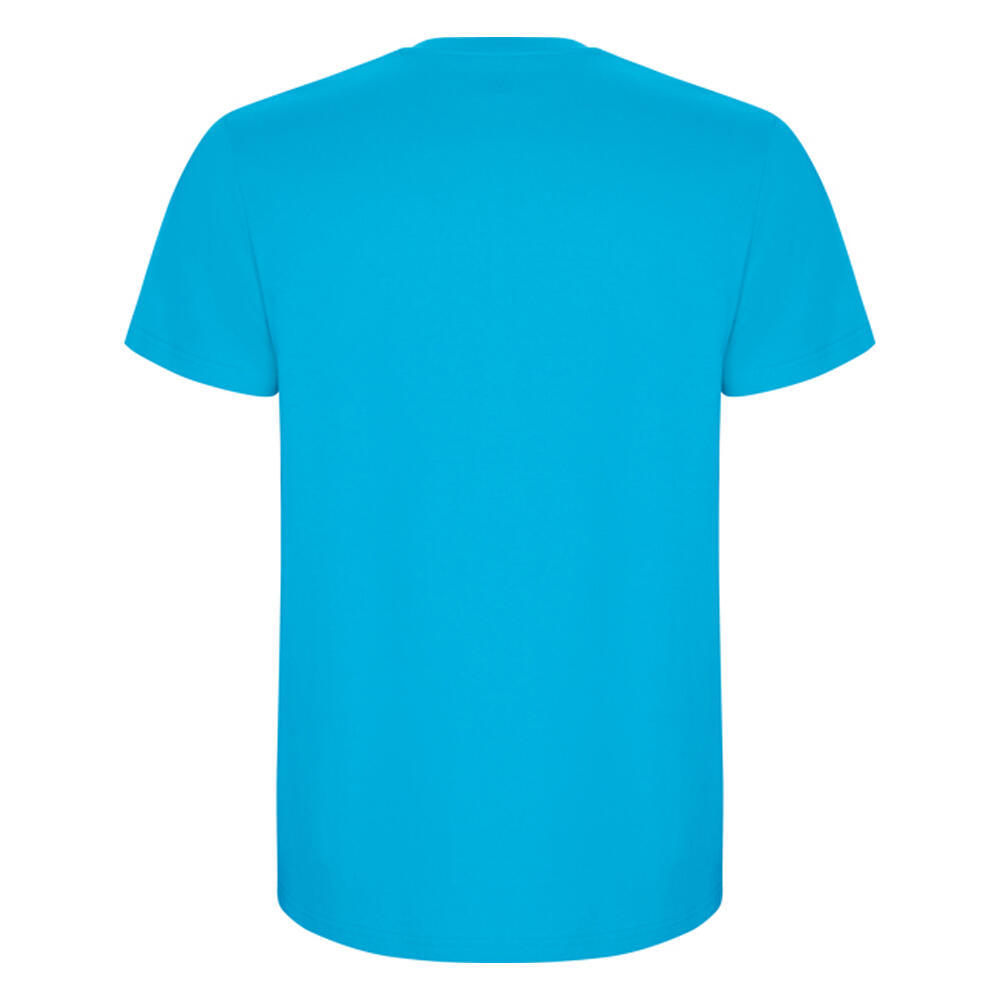 Tshirt STAFFORD Homme (Turquoise Vif) 2/4