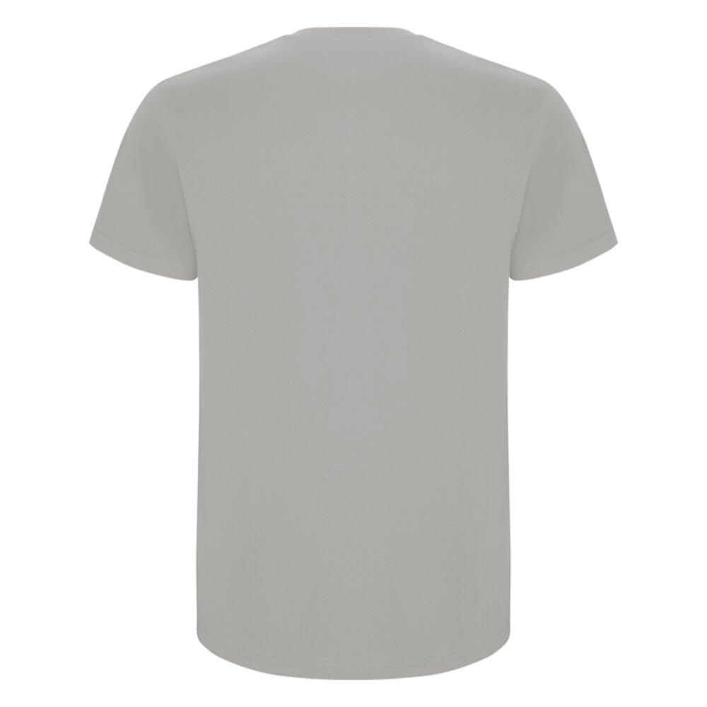 Tshirt STAFFORD Homme (Opale) 2/4