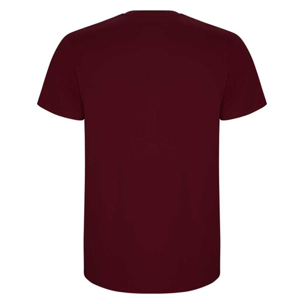 Tshirt STAFFORD Homme (Rouge Grenat) 2/4