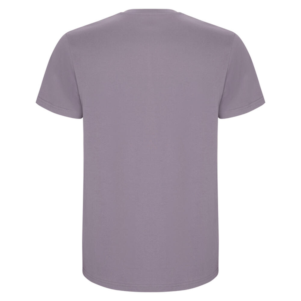 Tshirt STAFFORD Homme (Lavande) 2/4