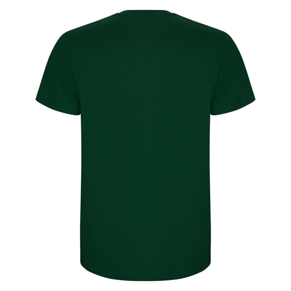 Tshirt STAFFORD Homme (Vert Bouteille) 2/4