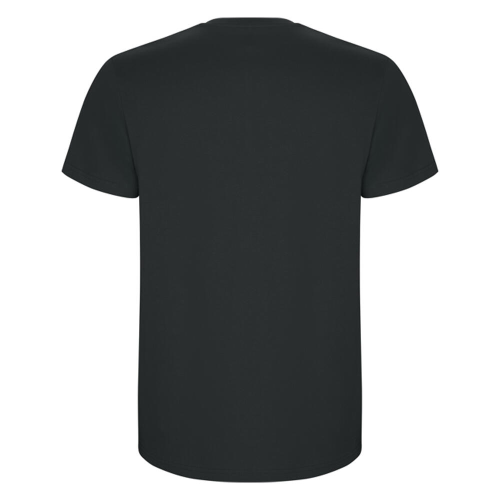 Tshirt STAFFORD Homme (Anthracite) 2/4