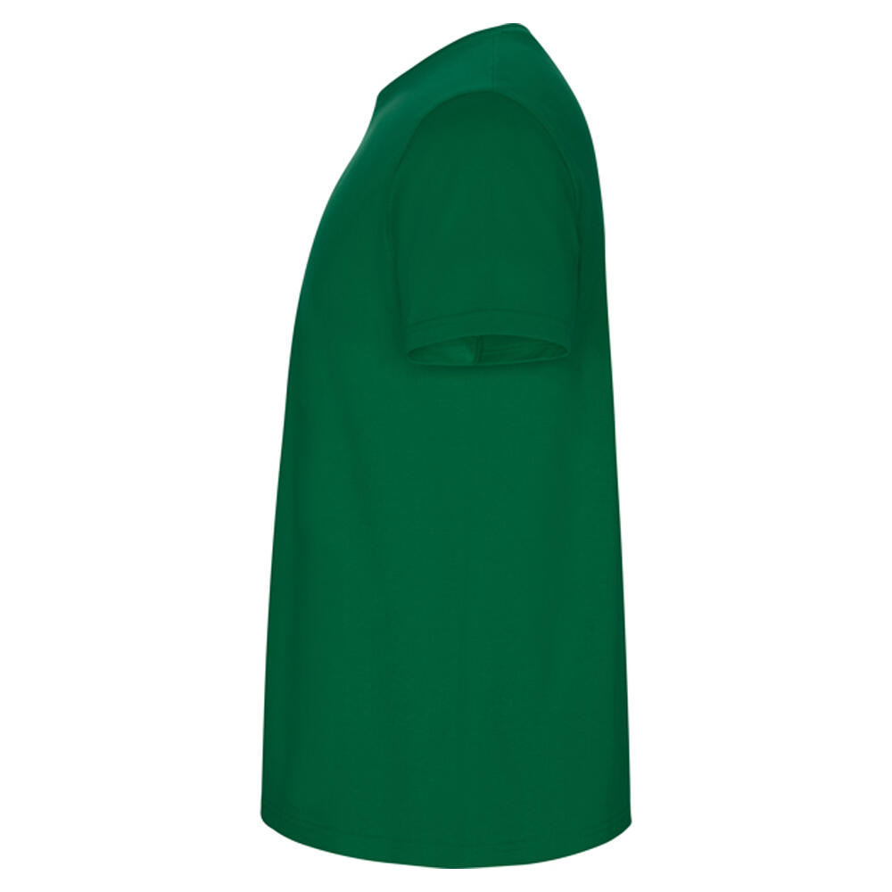 Tshirt STAFFORD Homme (Vert Kelly) 3/4