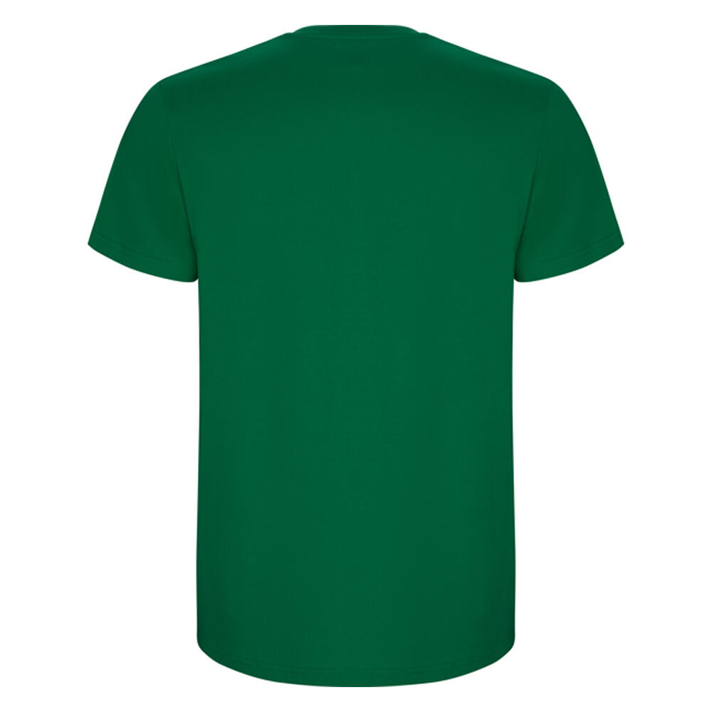 Tshirt STAFFORD Homme (Vert Kelly) 2/4