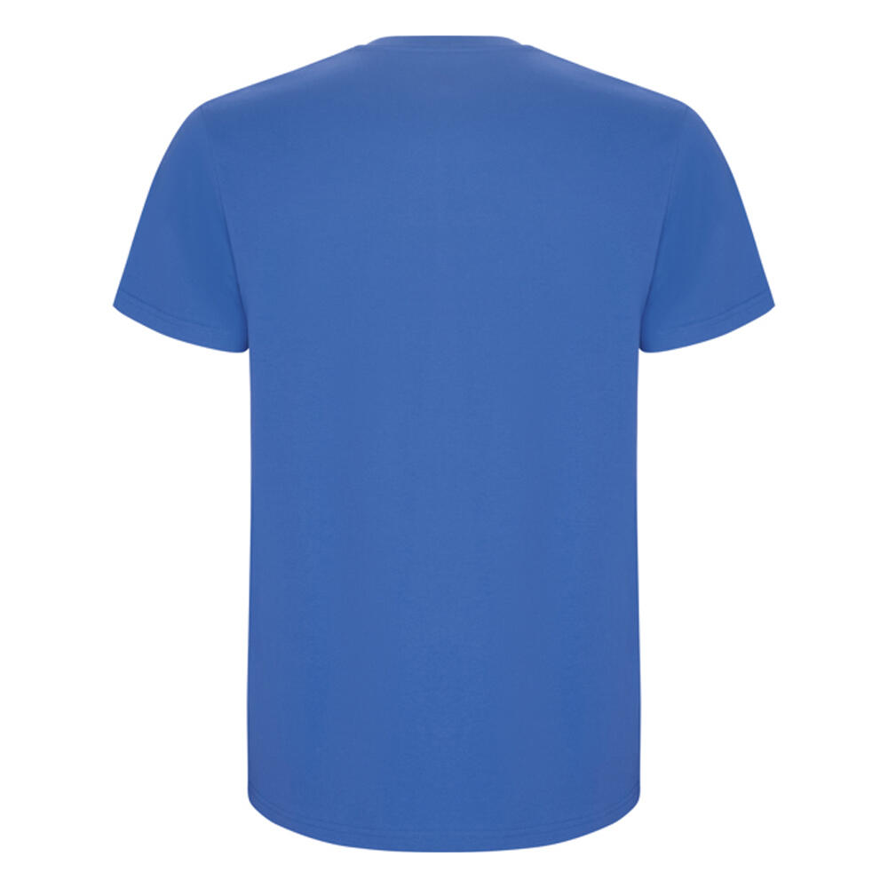 Tshirt STAFFORD Homme (Bleuet) 2/4