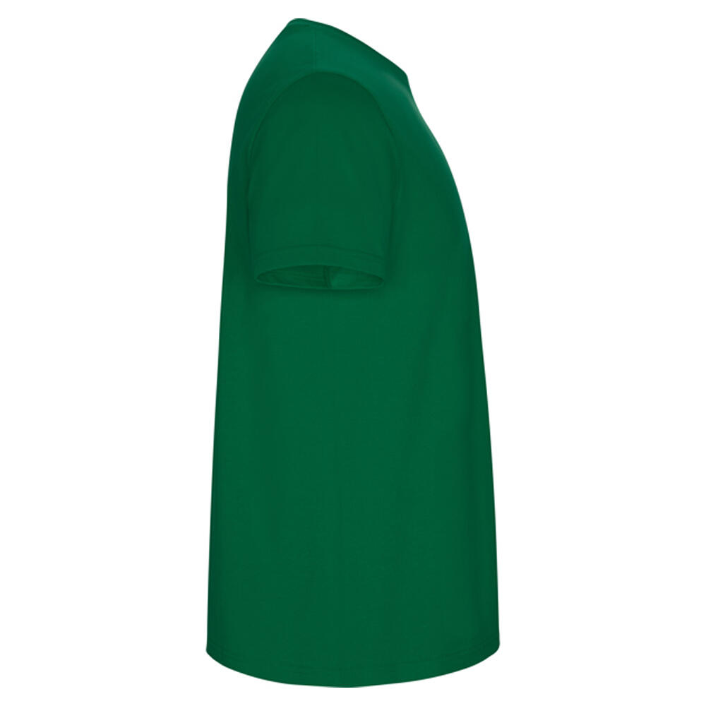 Tshirt STAFFORD Homme (Vert Kelly) 4/4